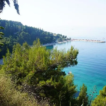 New And Modern Baroni *